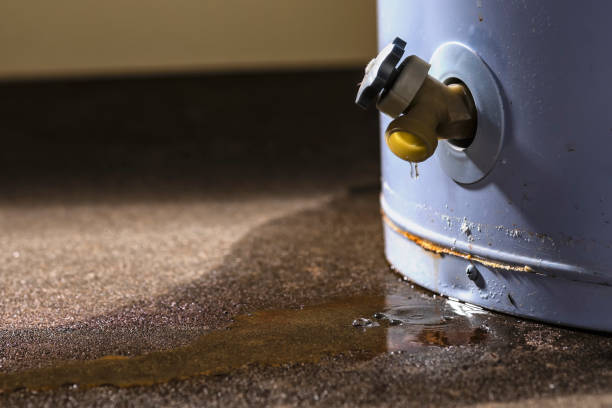 Best Flood damage cleanup  in Wellford, SC
