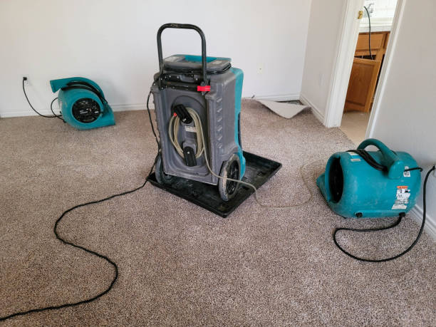 Best Flooded house restoration  in Wellford, SC