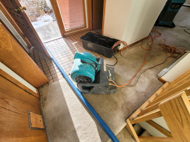 Best Professional water damage repair  in Wellford, SC
