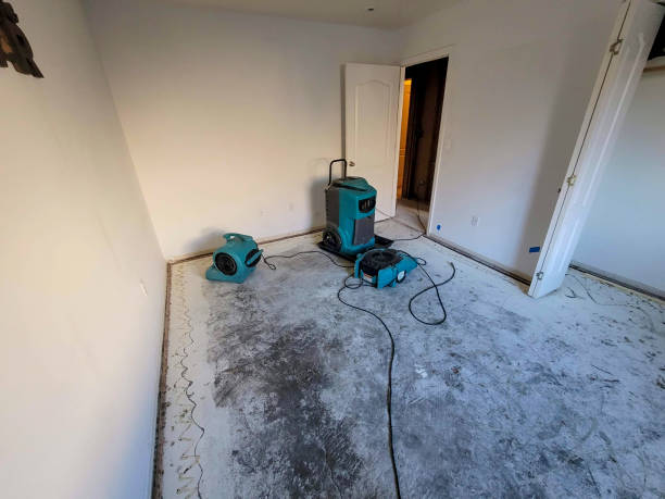 Best Ceiling water damage repair  in Wellford, SC