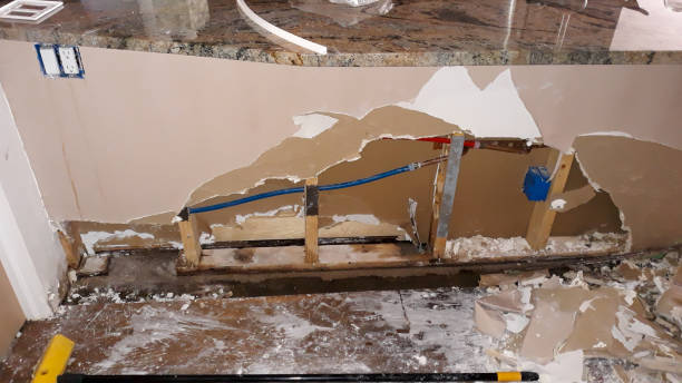 Best Flood damage cleanup  in Wellford, SC