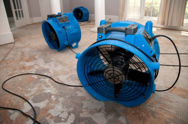Best Water damage contractors near me  in Wellford, SC