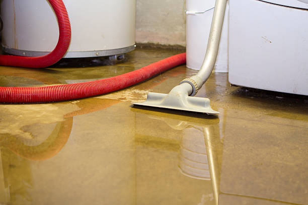 Best 24-hour water damage restoration  in Wellford, SC