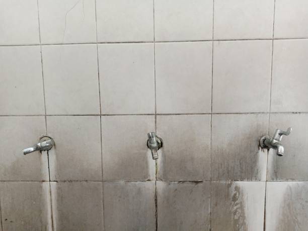 Best Water damage restoration near me  in Wellford, SC