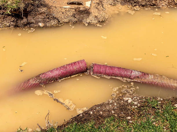 Best 24/7 water damage repair  in Wellford, SC