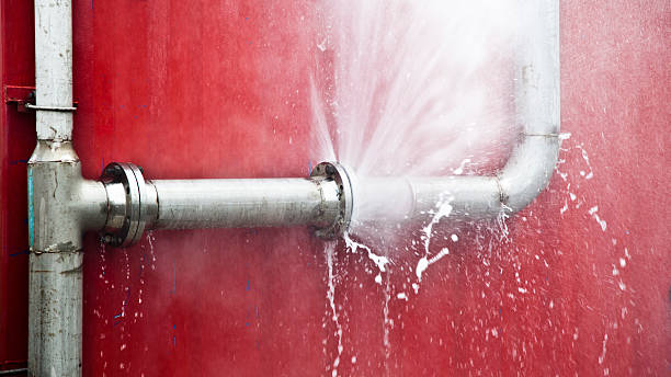 Best Fire Damage Restoration  in Wellford, SC